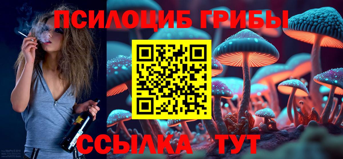 Псилоцибиновые грибы прущие грибы Новодвинск